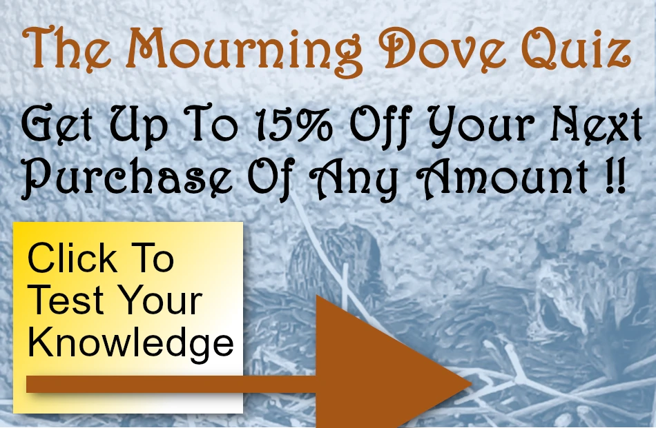 quiz home page banner2