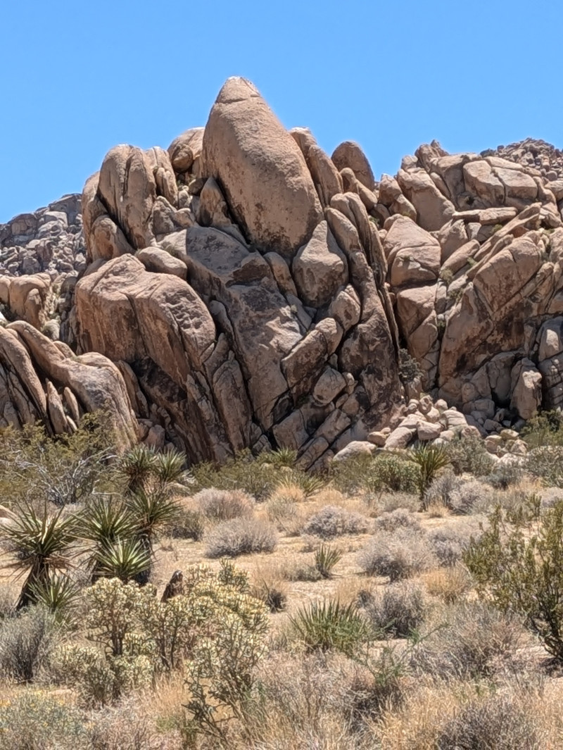 Joshua Tree National Park: Our back yard! Yes, we pinch ourselves every day!