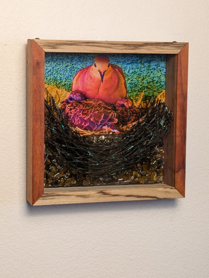 Wenge and Zebra Wood Frame with 'Luminous Noir' Mourning Dove Brood & Tiger Eye Stone Sculpture