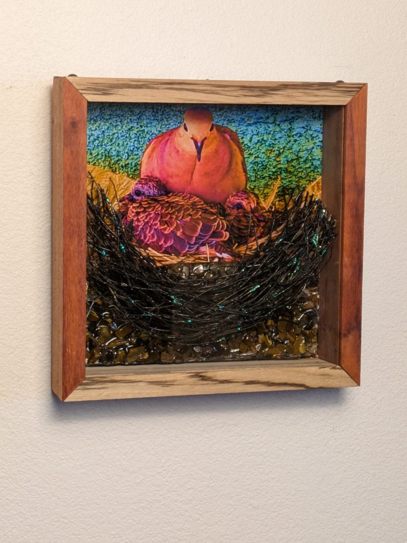 Wenge and Zebra Wood Frame with 'Luminous Noir' Mourning Dove Brood & Tiger Eye Stone Sculpture