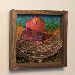 Dark Zebra Wood Frame with Mourning Dove Brood and Tiger Eye Stone Sculpture
