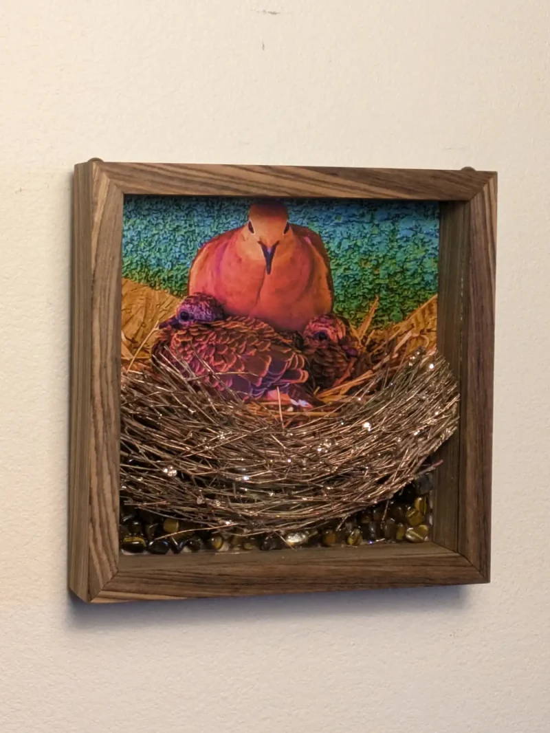 Dark Zebra Wood Frame with Mourning Dove Brood and Tiger Eye Stone Sculpture