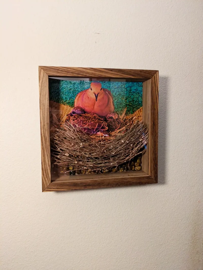 Dark Zebra Wood Frame with Mourning Dove Brood and Tiger Eye Stone Sculpture - Image 3