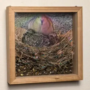 Canary Wood Frame with Rainbow Mourning Dove Brood and Tiger Eye Stone Sculpture