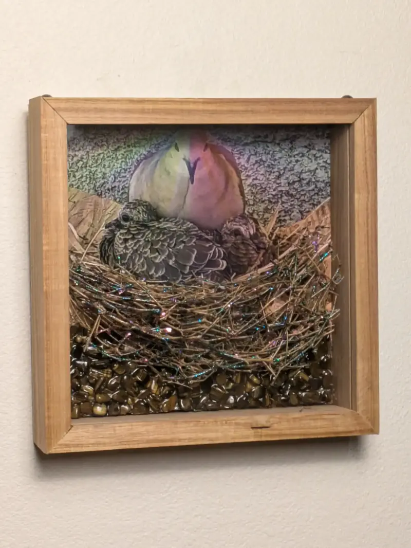 Canary Wood Frame with Rainbow Mourning Dove Brood and Tiger Eye Stone Sculpture