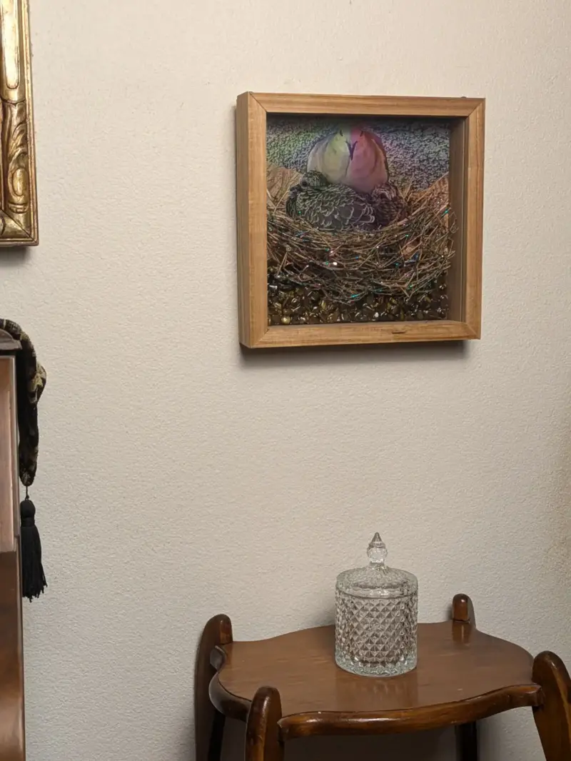 Canary Wood Frame with Rainbow Mourning Dove Brood and Tiger Eye Stone Sculpture - Image 3