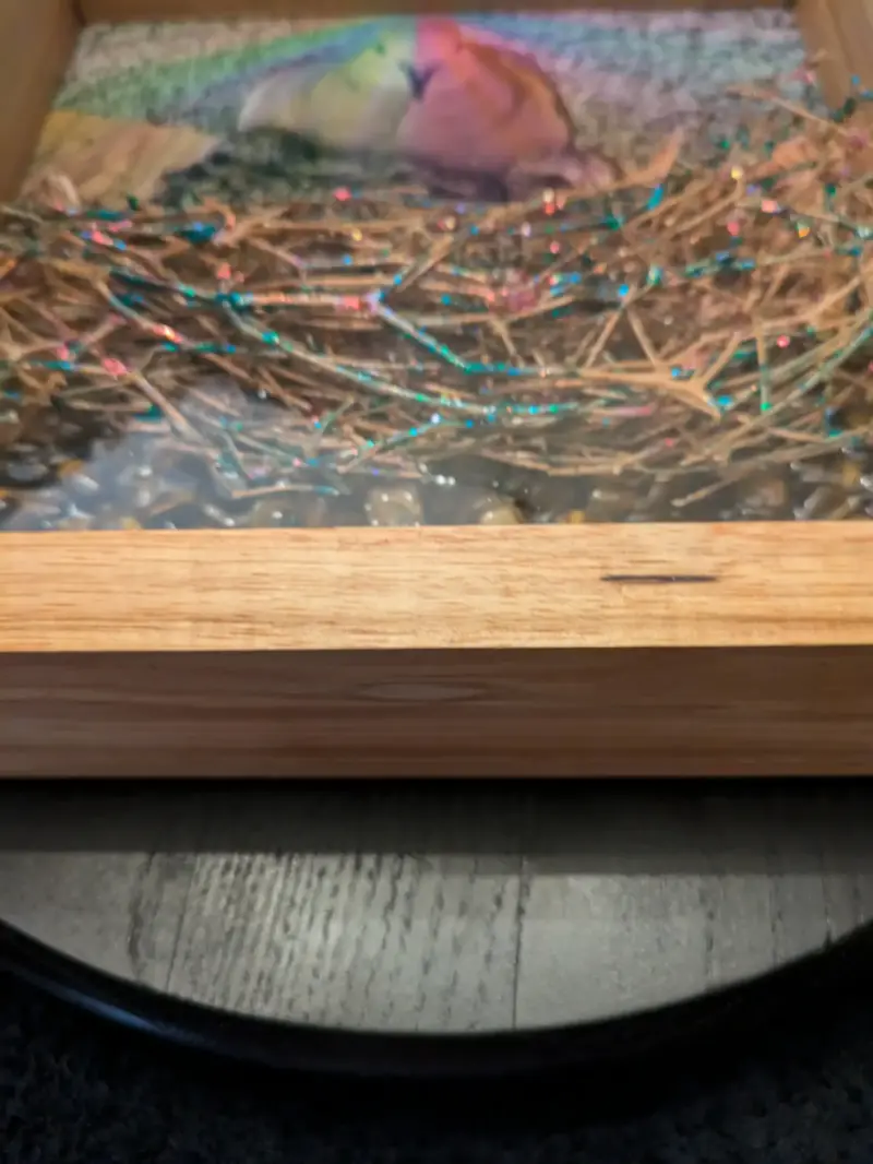 Canary Wood Frame with Rainbow Mourning Dove Brood and Tiger Eye Stone Sculpture - Image 5