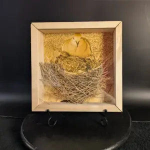 Red Oak Wood Frame with Mourning Dove Brood and Tiger Eye Stone Sculpture