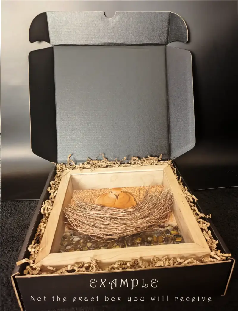 Zebra Wood Frame with Black and White Mourning Dove and Brood Featuring a Black Onyx Sculpture - Image 2